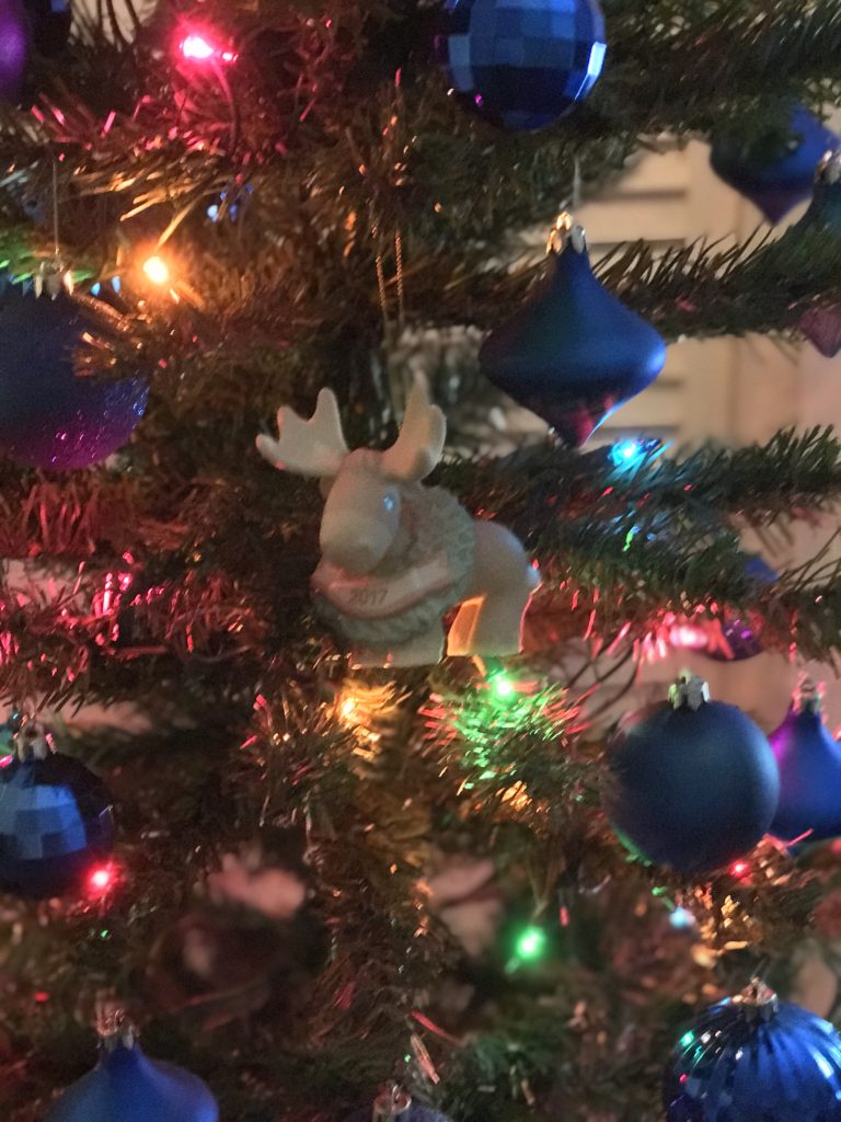 “Merry Christmoose” Dated 2017, Bisque Porcelain Ornament6
