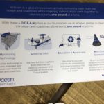 Sea Turtle 2-Pound Pack One Bracelet, One Pound & Two 4Ocean Stickers4