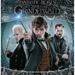 1000703468_FB2-TCOG_BRDFLTO_45206878