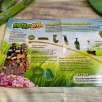 Best Fun and Learning Tools for Kids10