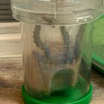 Best Fun and Learning Tools for Kids12