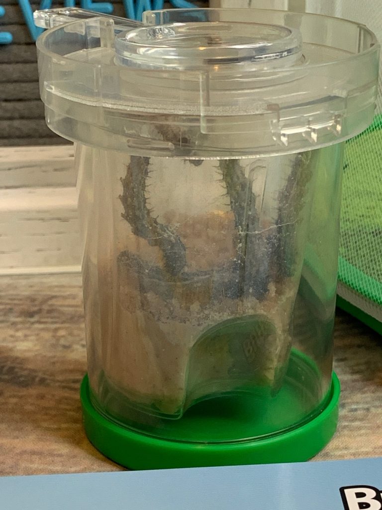 Best Fun and Learning Tools for Kids12