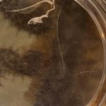 Best Fun and Learning Tools for Kids13