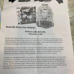 Best Fun and Learning Tools for Kids15