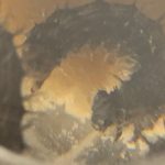 Best Fun and Learning Tools for Kids16