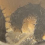 Best Fun and Learning Tools for Kids19