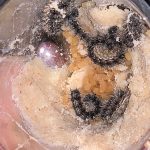 Best Fun and Learning Tools for Kids20