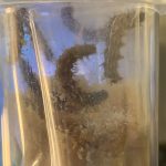 Best Fun and Learning Tools for Kids21