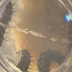 Best Fun and Learning Tools for Kids22