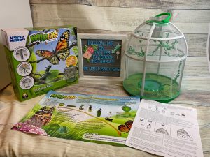 Best Fun and Learning Tools for Kids9