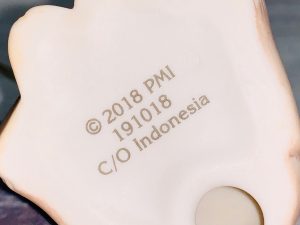 The Moose Wonderful Time Of The Year, 1st Annual Animal Series Ornament6